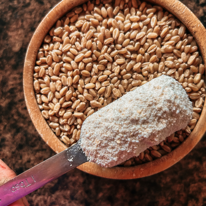 Living Sky Farms - Flour (10lbs)