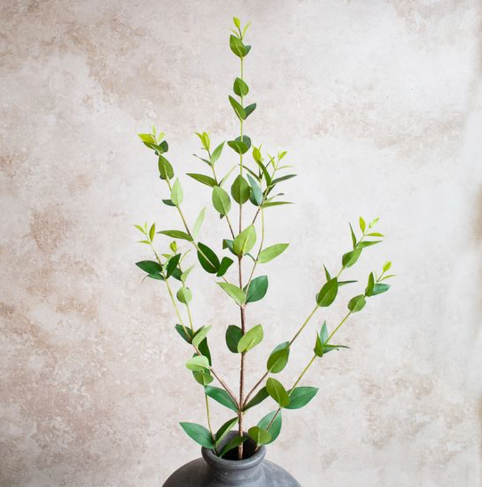 Long Stemmed  EUCALYPTUS SPRAY
