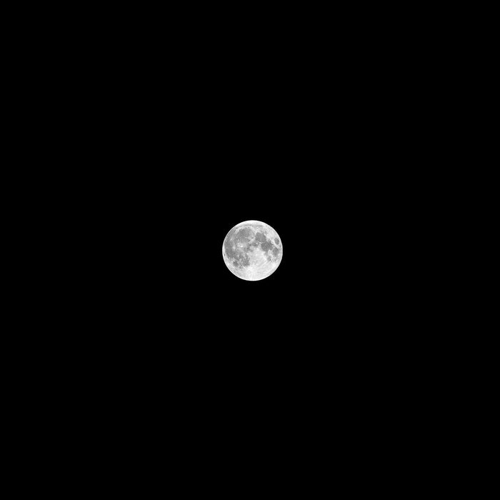 Mother Moon , Photograph by Mother Moon Tappan