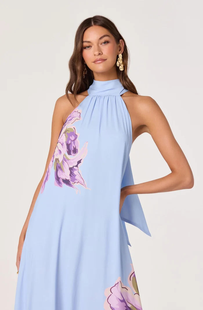 Nesta Halter Maxi Dress