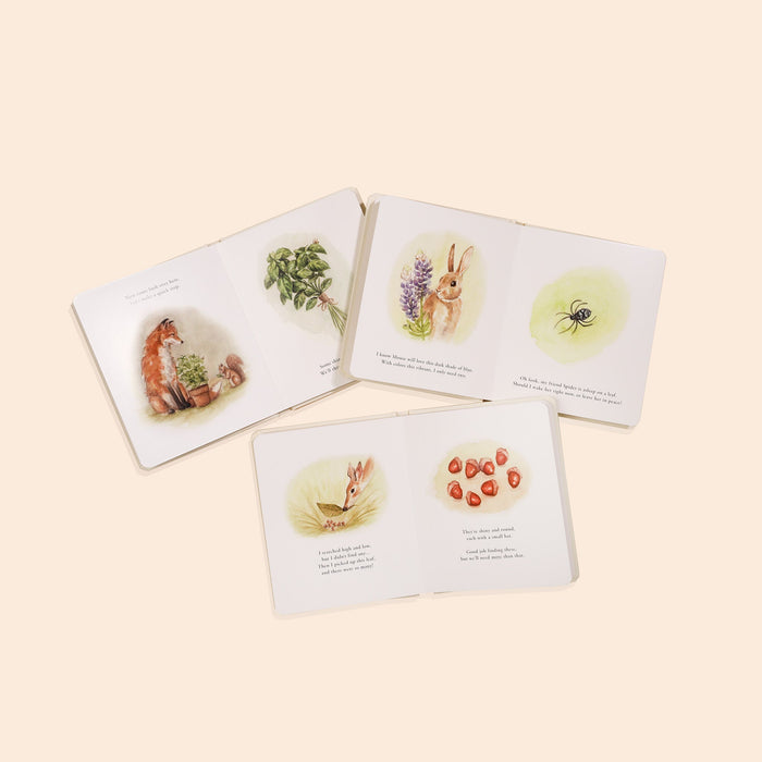 Our Little Adventures Box Set - Babies in Bloom