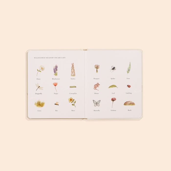 Our Little Adventures Box Set - Babies in Bloom