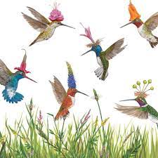 Meadow Buzz