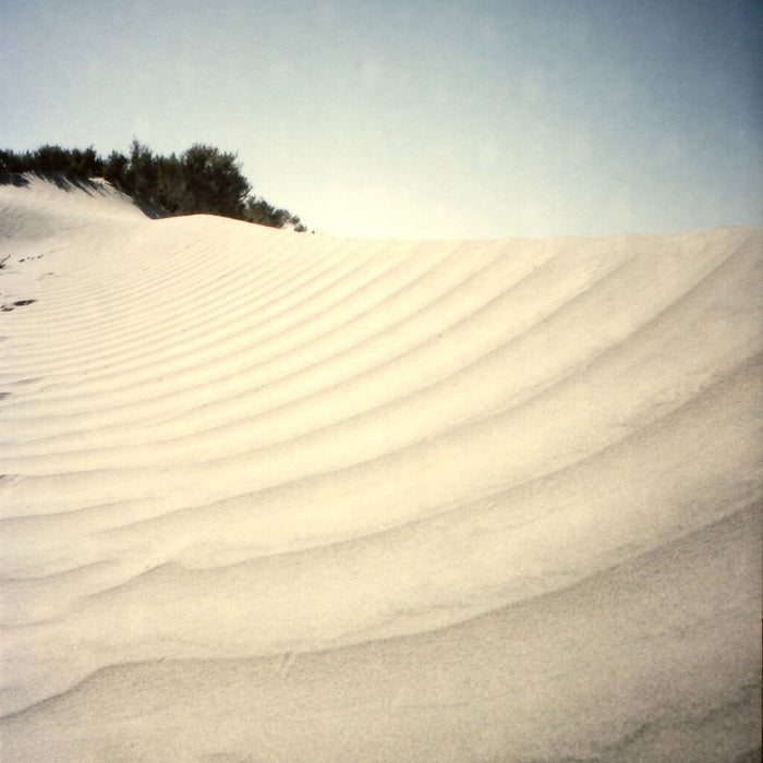 Ribbed Wonder , Photograph by Ribbed Wonder Tappan