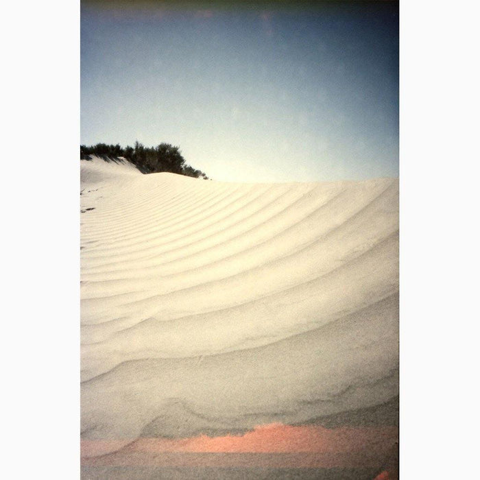 Ribbed Wonder , Photograph by Ribbed Wonder Tappan