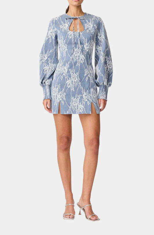 Safia Long Sleeve Mini Dress