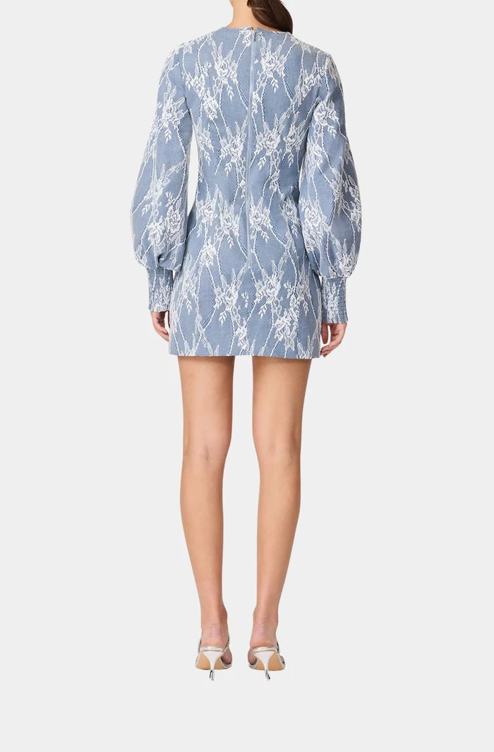 Safia Long Sleeve Mini Dress