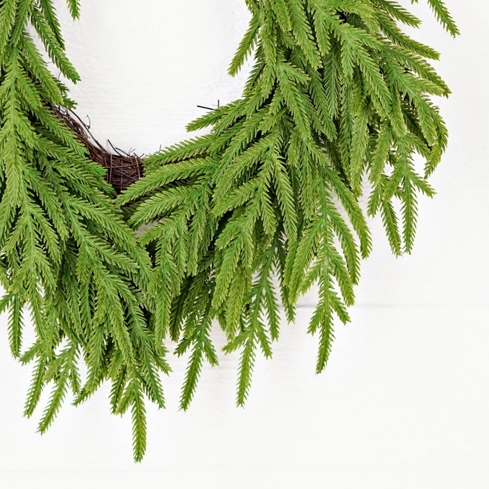 Soft Touch Evergreen Norfolk - Twig Wreath