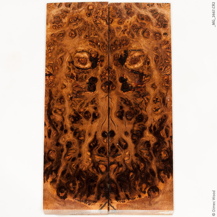 Stabilized wood oak burl panels