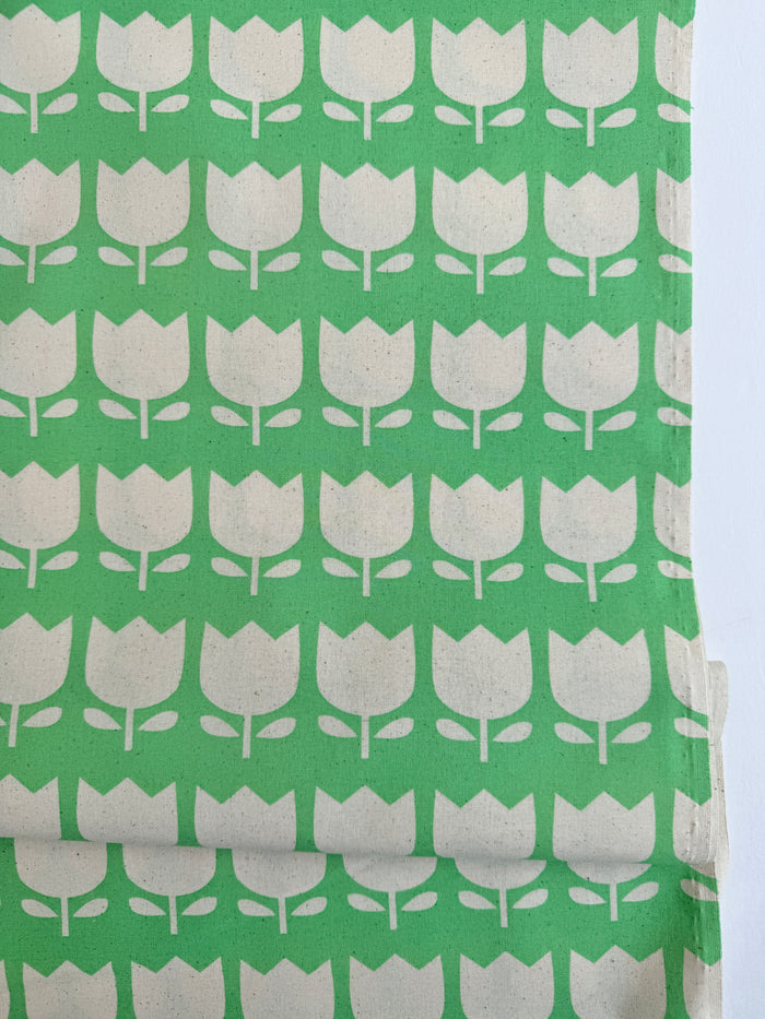Tulip - Green - Japanese Import