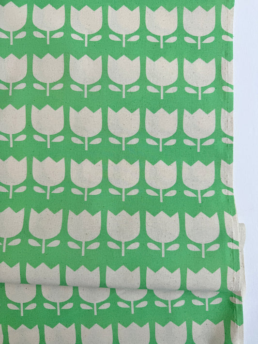 Tulip - Green - Japanese Import