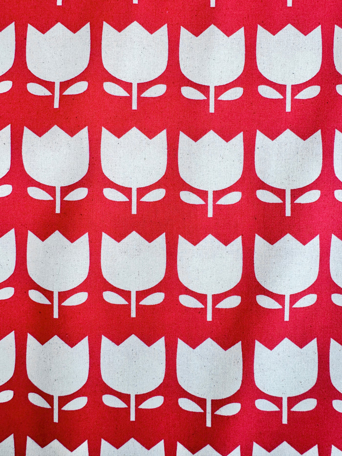 Tulip - Red - Japanese Import