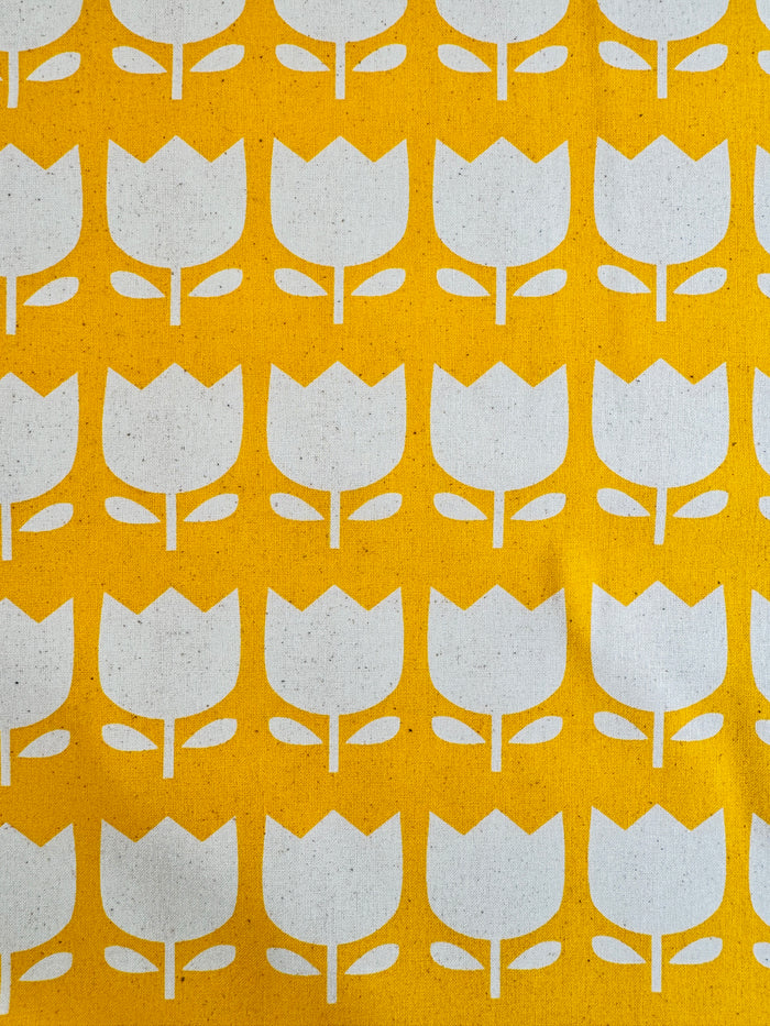 Tulip - Yellow - Japanese Import