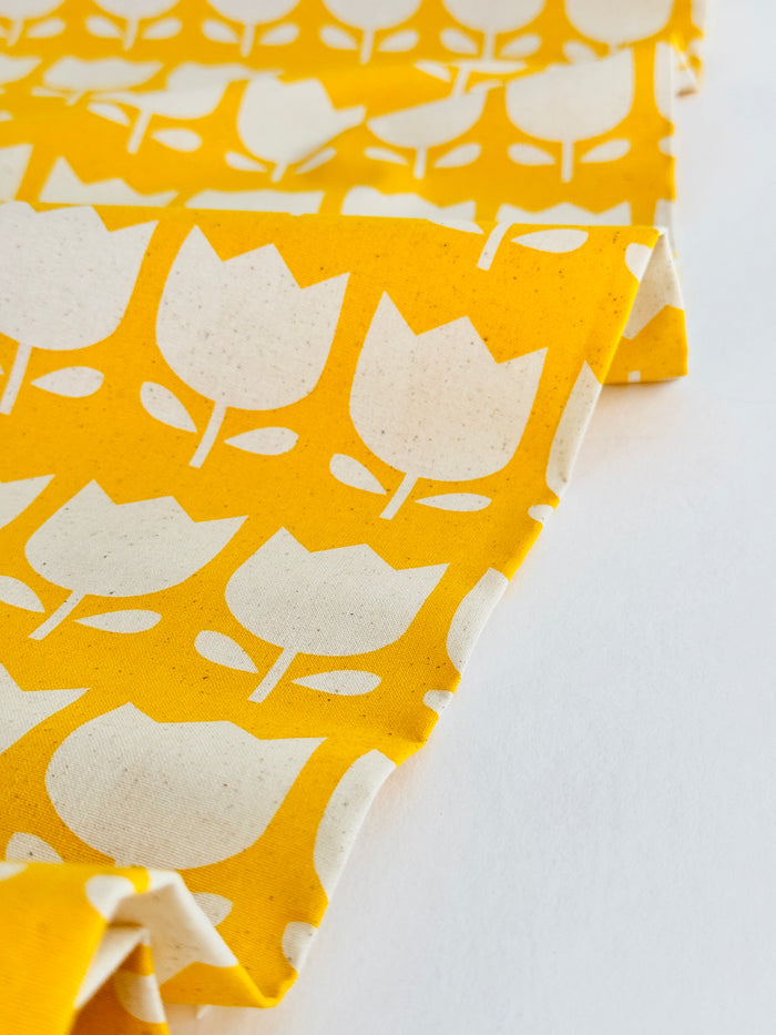 Tulip - Yellow - Japanese Import