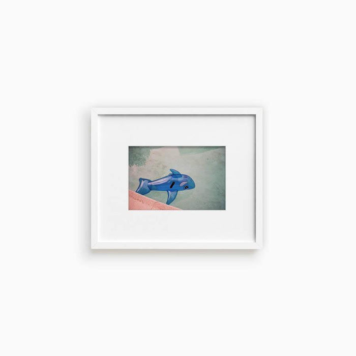 Whale in Pool , Photograph by Whale in Pool Tappan