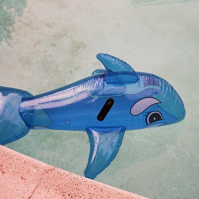 Whale in Pool , Photograph by Whale in Pool Tappan