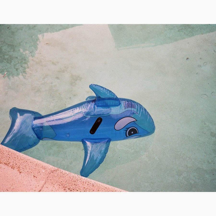 Whale in Pool , Photograph by Whale in Pool Tappan