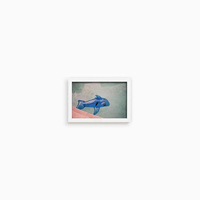 Whale in Pool , Photograph by Whale in Pool Tappan