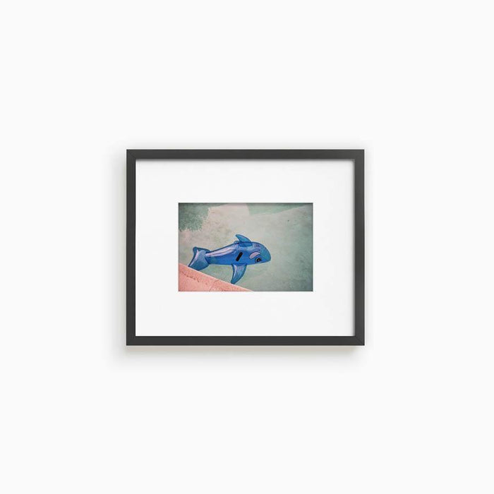 Whale in Pool , Photograph by Whale in Pool Tappan