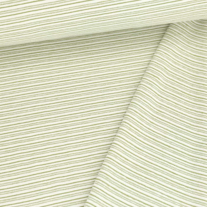 Yarn Dyed Stripes Green Organic French Terry