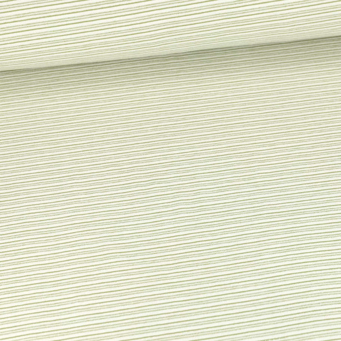 Yarn Dyed Stripes Green Organic French Terry
